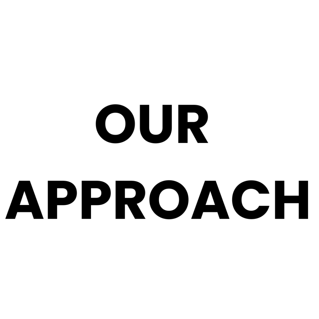 our approach